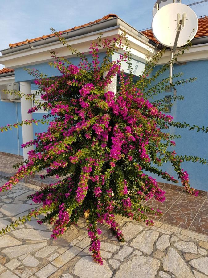 Holiday Home Ankica Razanac Exterior photo